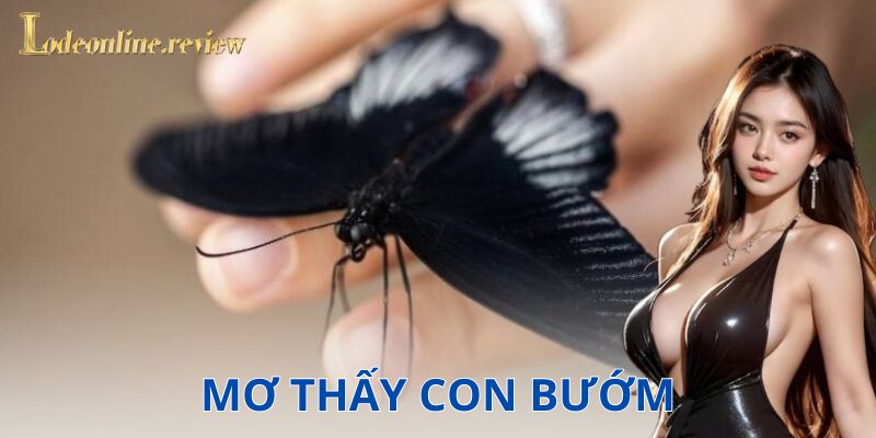 Liên kết giữa giấc mơ thấy con bướm và con số may mắn