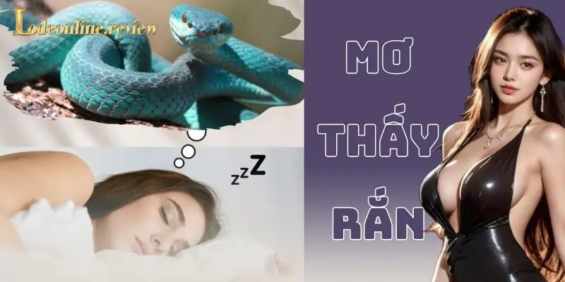 Ví dụ thực tế về việc sử dụng giấc mơ trong lô đề