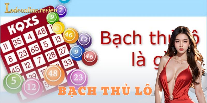 Bạch thủ lô là gì?