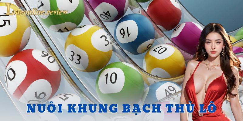 Những lỗi dễ gặp khi chơi nuôi khung bạch thủ lô