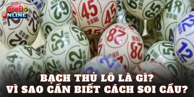 Bạch thủ lô là gì? Vì sao cần biết cách soi cầu?