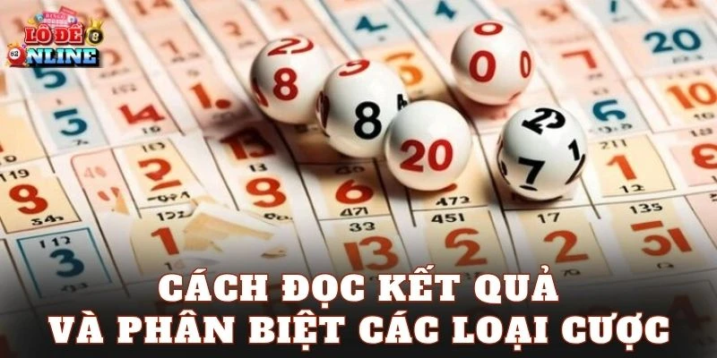 Cách đọc kết quả và phân biệt các loại cược