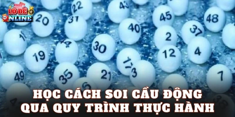 Học cách soi cầu động qua quy trình thực hành