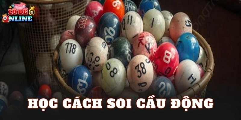 Học Cách Soi Cầu Động